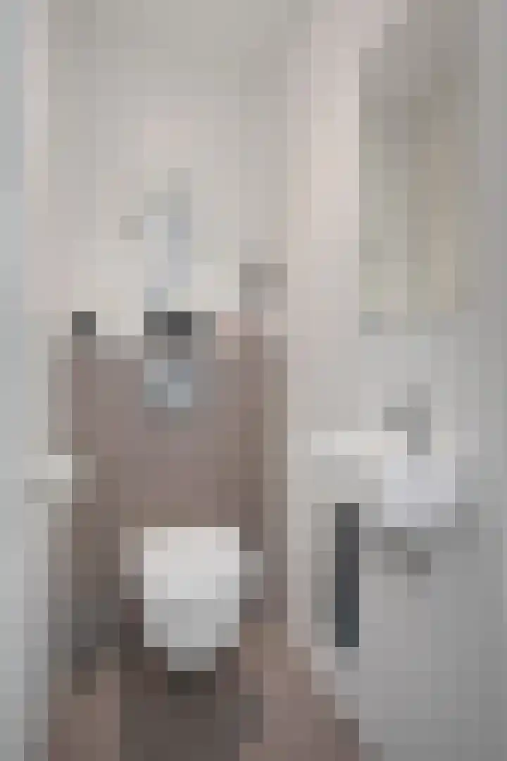 Bosstraat 10 Born thumbnail 11