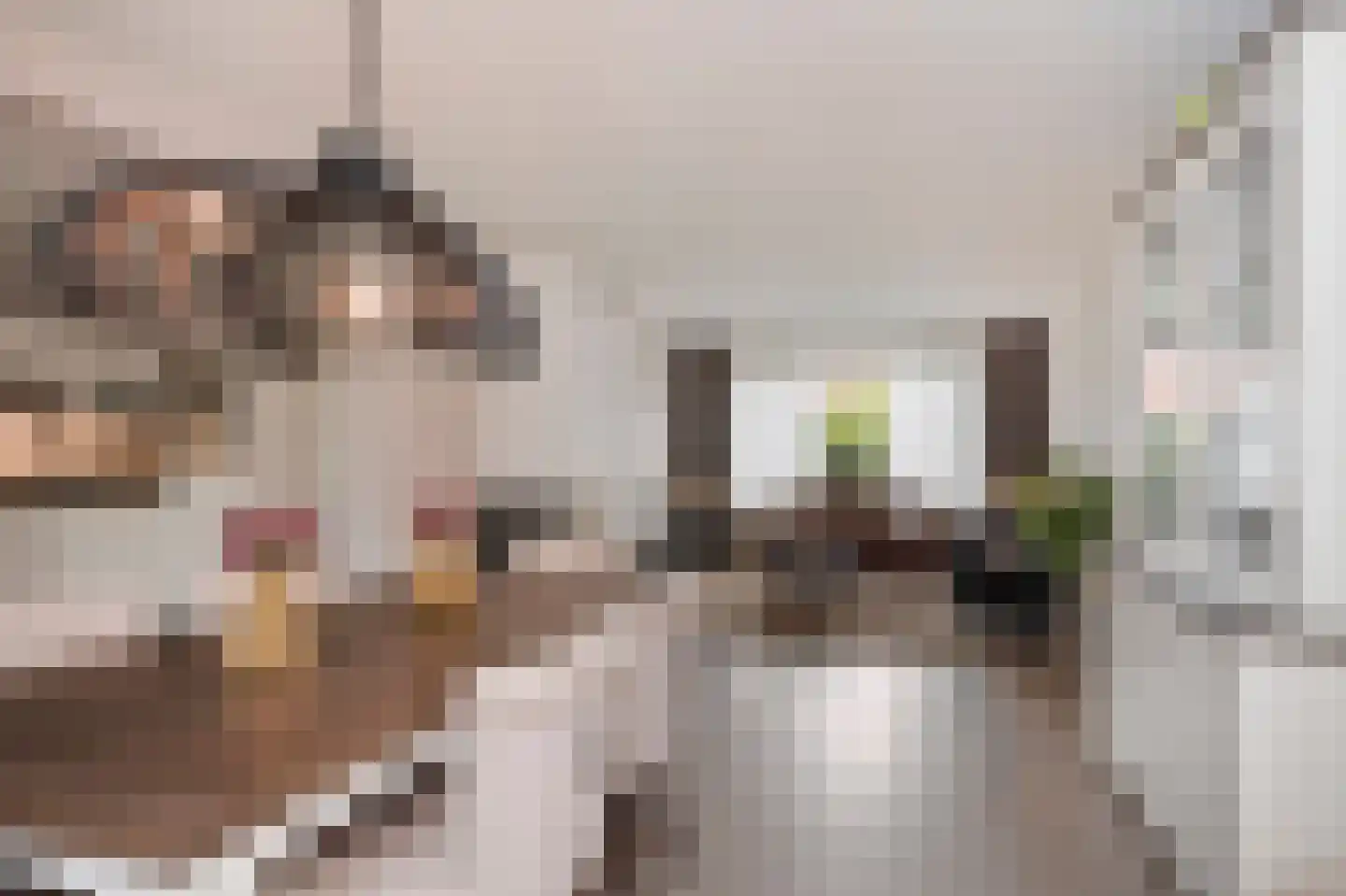 Bosstraat 10 Born thumbnail 15