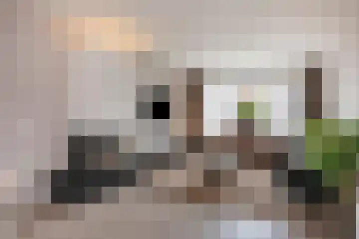 Bosstraat 10 Born thumbnail 16