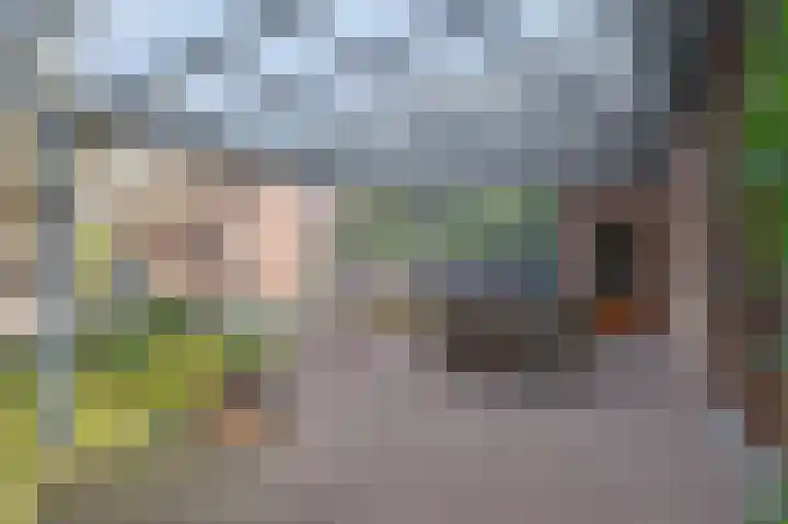 Bosstraat 10 Born thumbnail 23