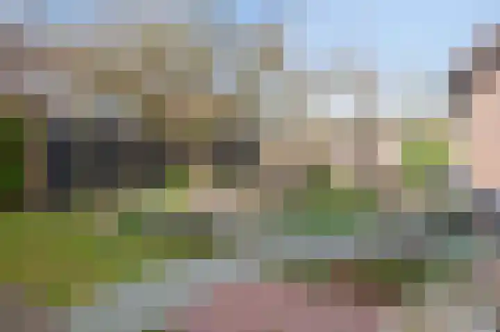Bosstraat 10 Born thumbnail 25