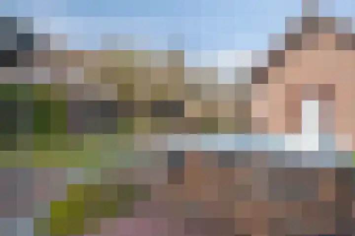 Bosstraat 10 Born thumbnail 27