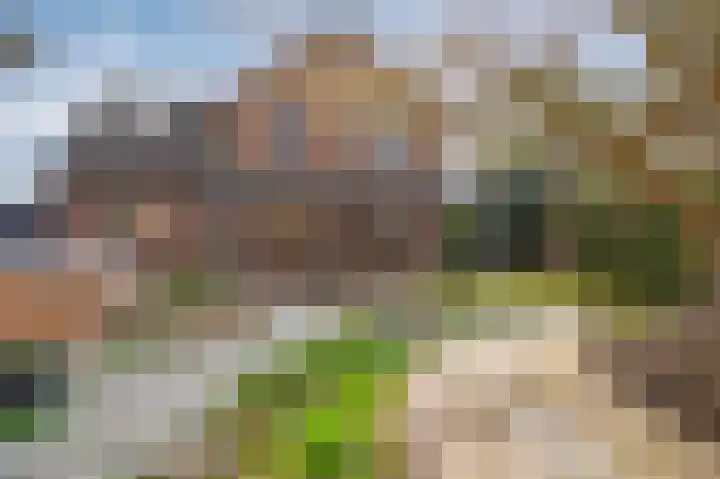 Bosstraat 10 Born thumbnail 29
