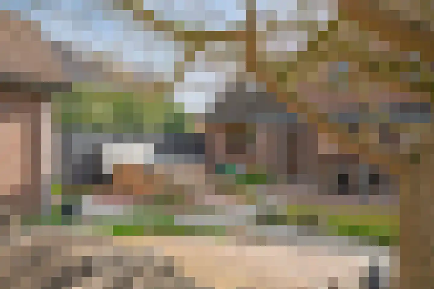 Bosstraat 10 Born thumbnail 30
