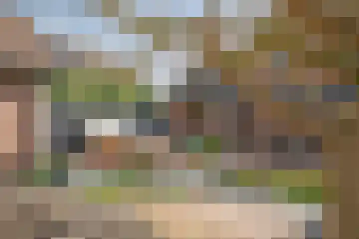 Bosstraat 10 Born thumbnail 30