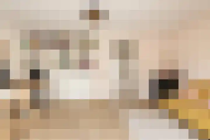 Bosstraat 10 Born thumbnail 32