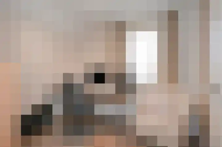 Bosstraat 10 Born thumbnail 35