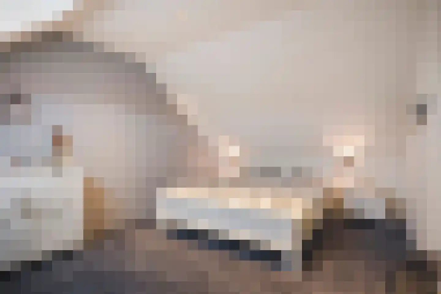 Bosstraat 10 Born thumbnail 42