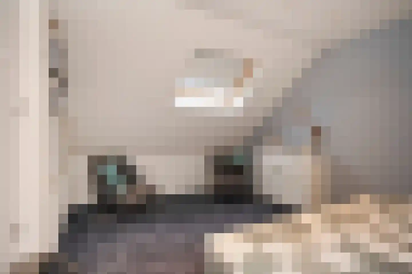 Bosstraat 10 Born thumbnail 43