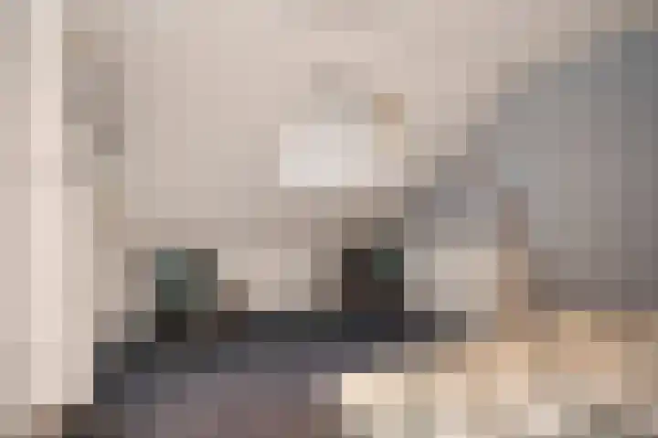 Bosstraat 10 Born thumbnail 43