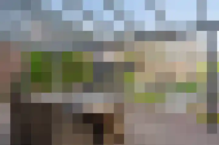 Bosstraat 10 Born thumbnail 5