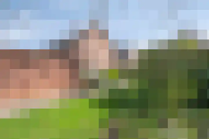 Bosstraat 10 Born thumbnail 8