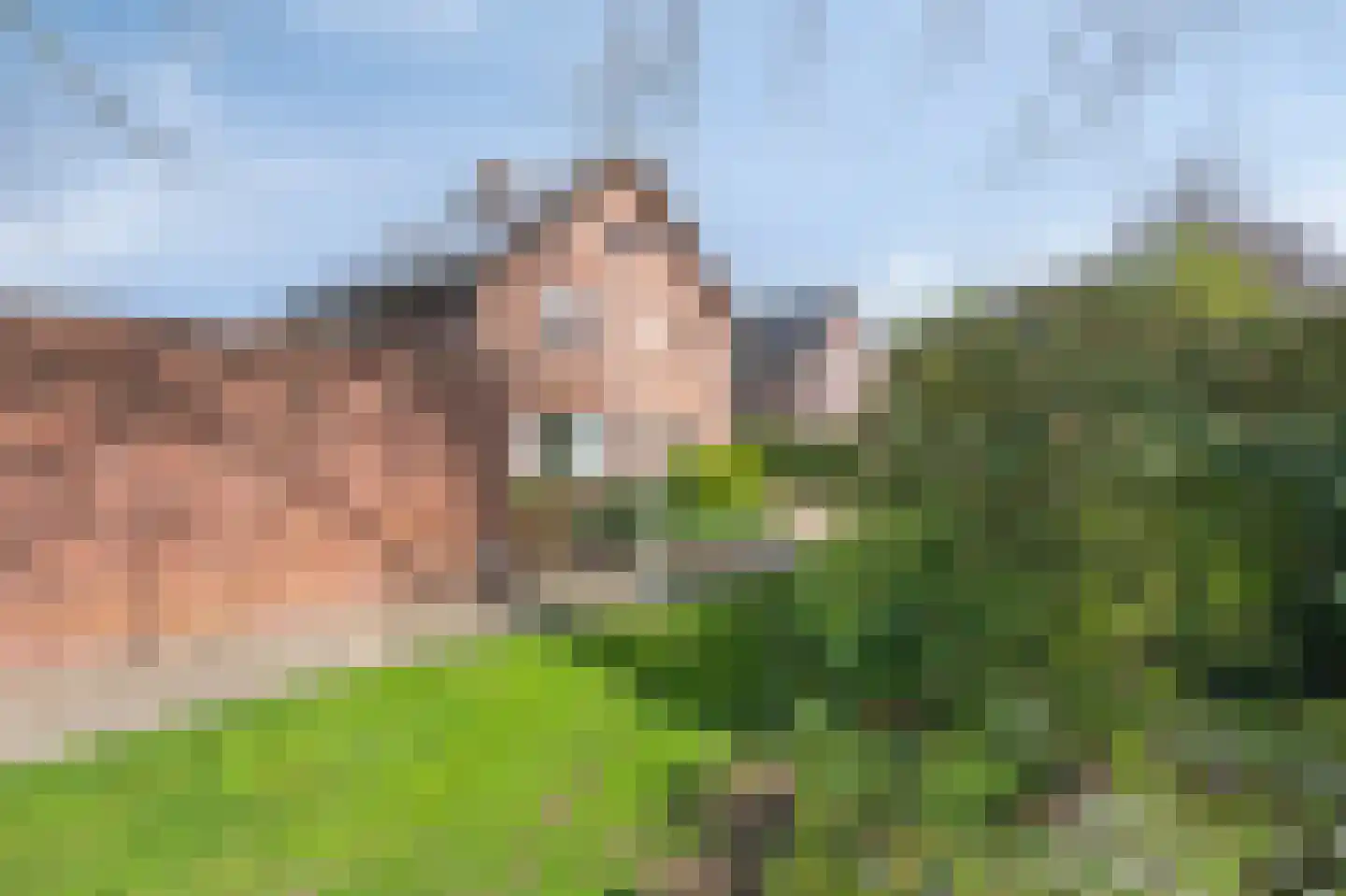 Bosstraat 10 Born thumbnail 8