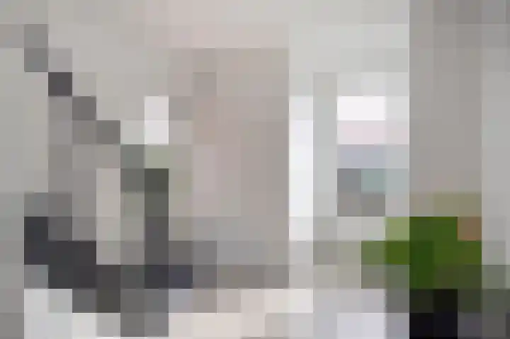 Bosstraat 10 Born thumbnail 9