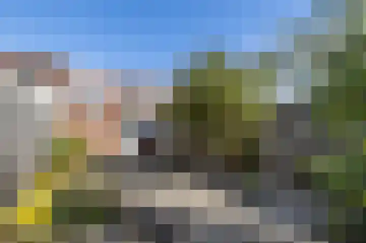 Bosstraat 11 Almelo thumbnail 17