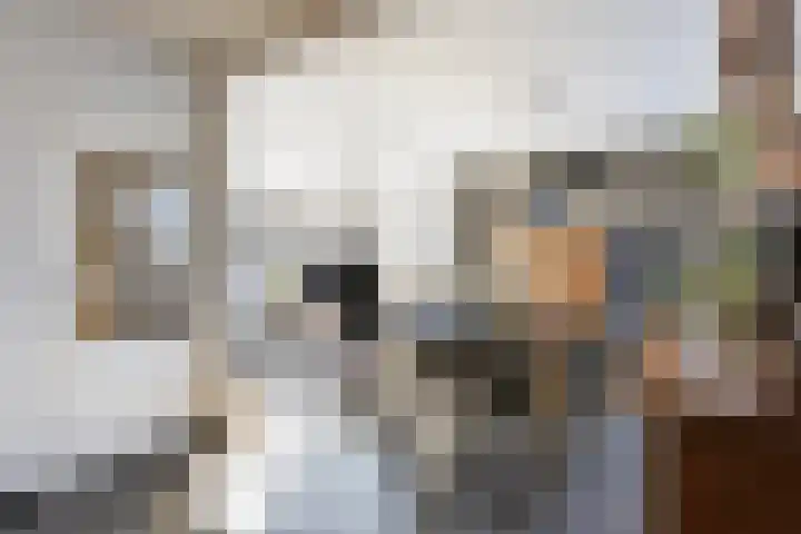 Bosstraat 12 Susteren thumbnail 12