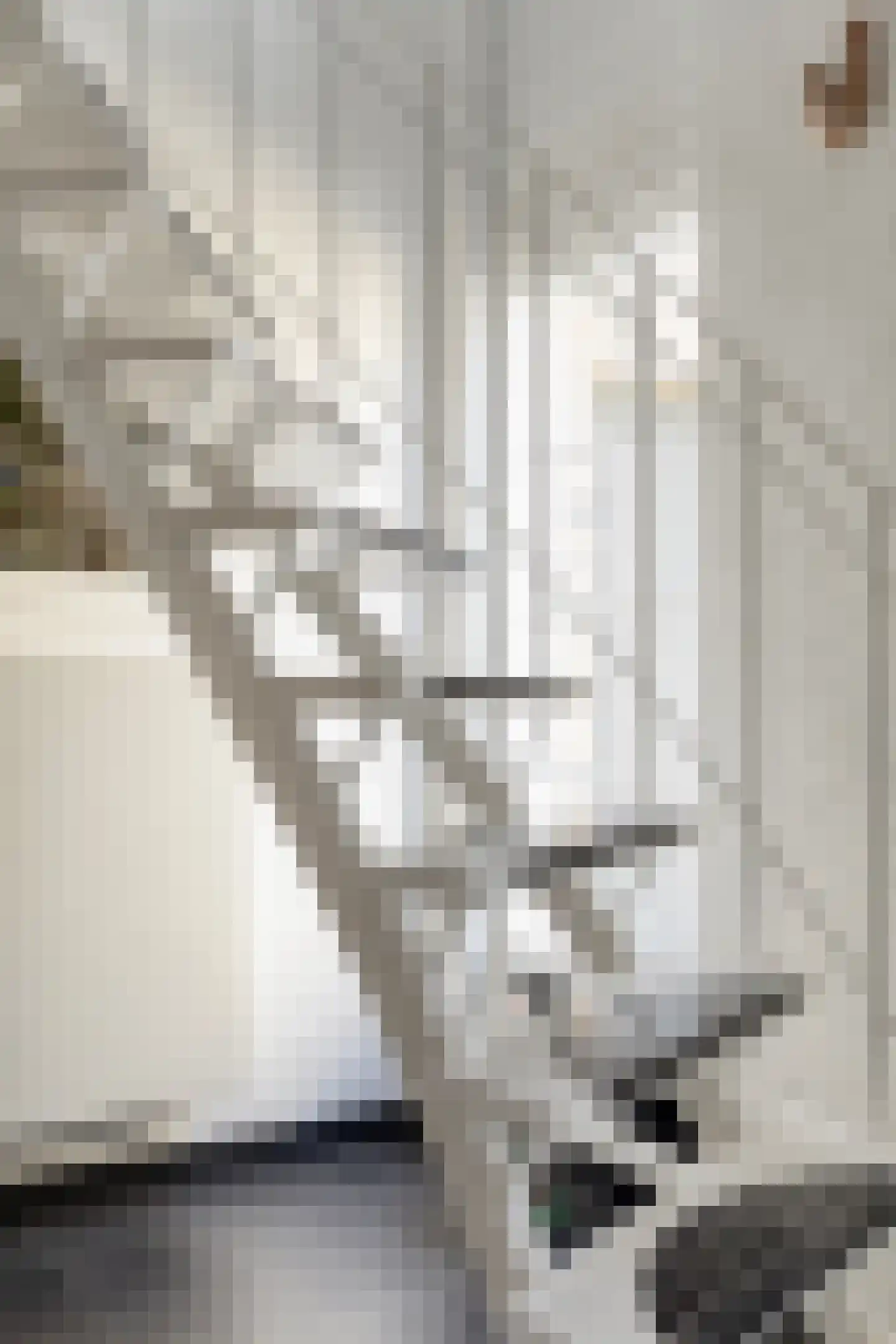 Bosstraat 12 Susteren thumbnail 14