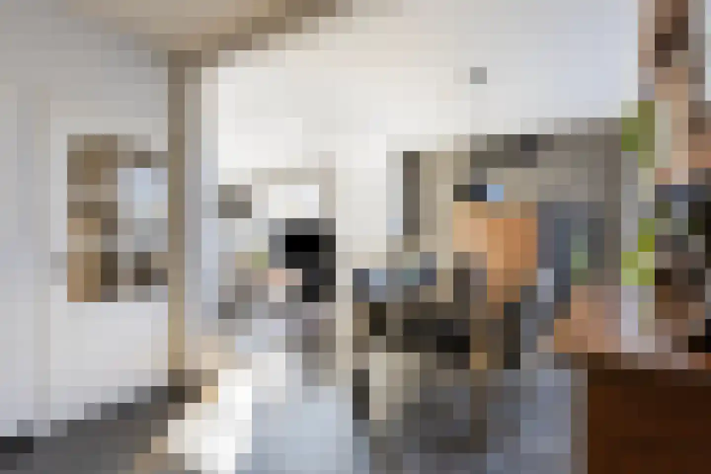 Bosstraat 12 Susteren thumbnail 17