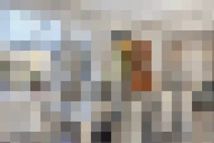 Bosstraat 12 Susteren thumbnail 18