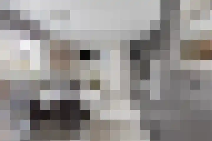 Bosstraat 12 Susteren thumbnail 23