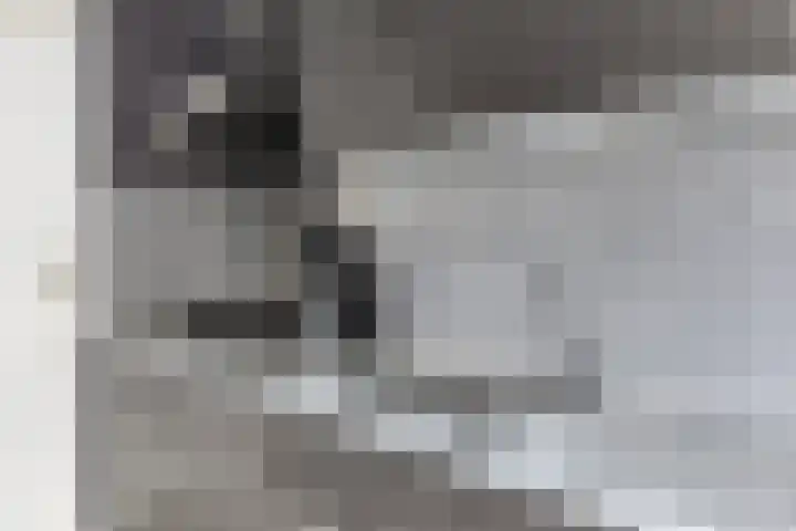 Bosstraat 12 Susteren thumbnail 24