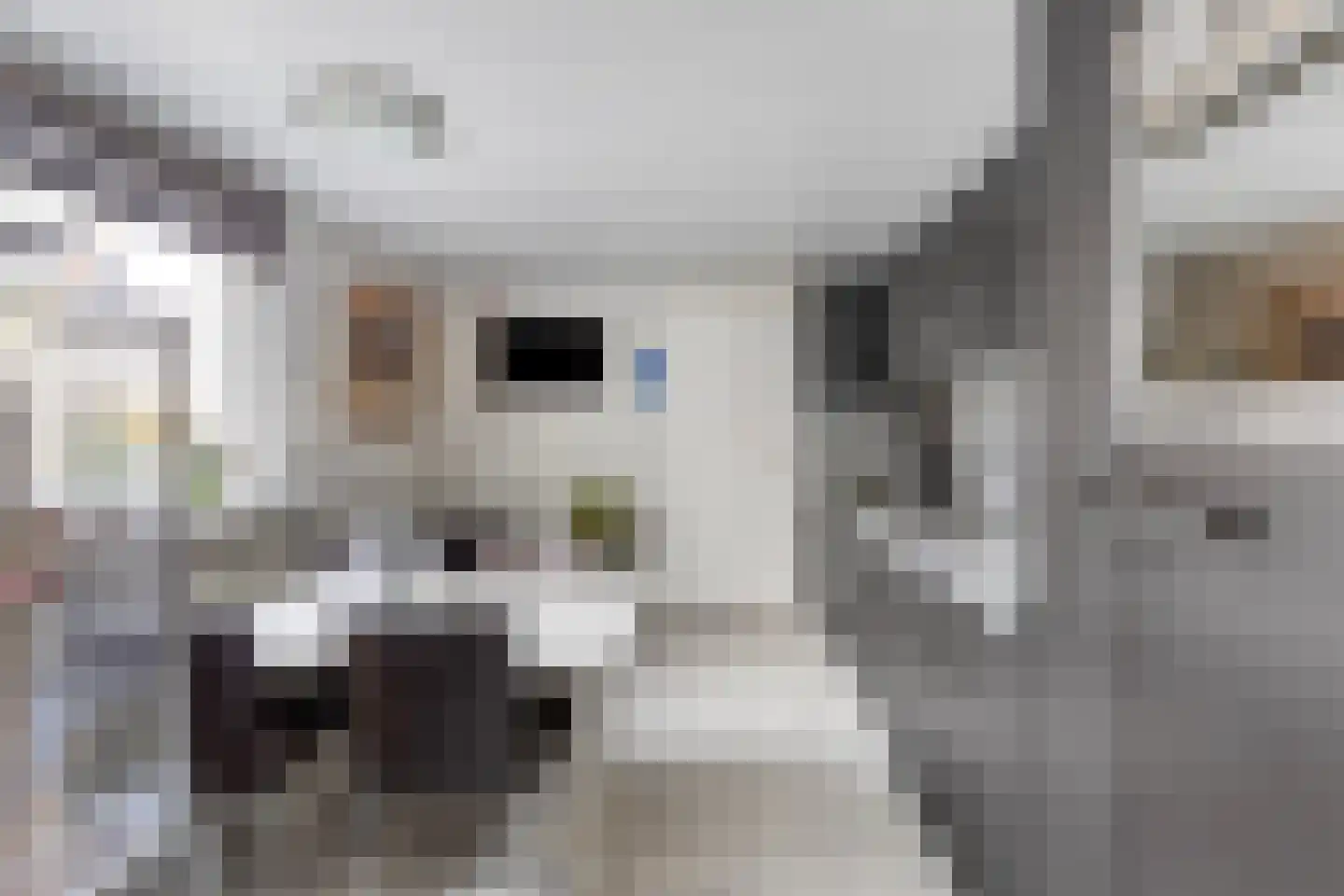 Bosstraat 12 Susteren thumbnail 25