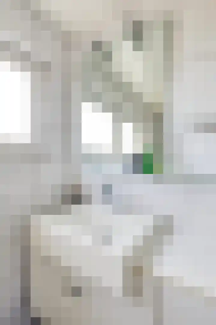 Bosstraat 12 Susteren thumbnail 29