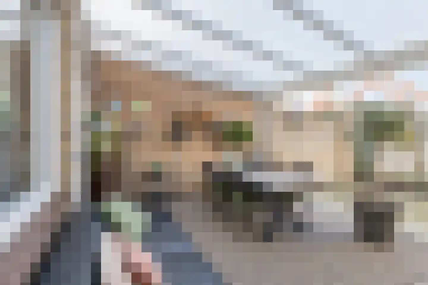 Bosstraat 12 Susteren thumbnail 38