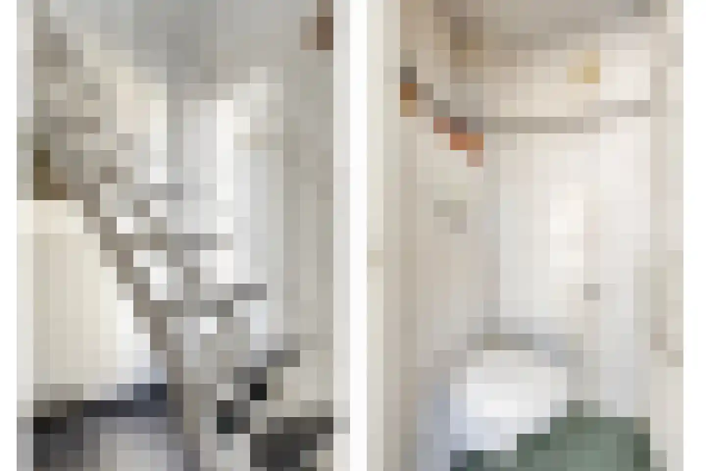 Bosstraat 12 Susteren thumbnail 43
