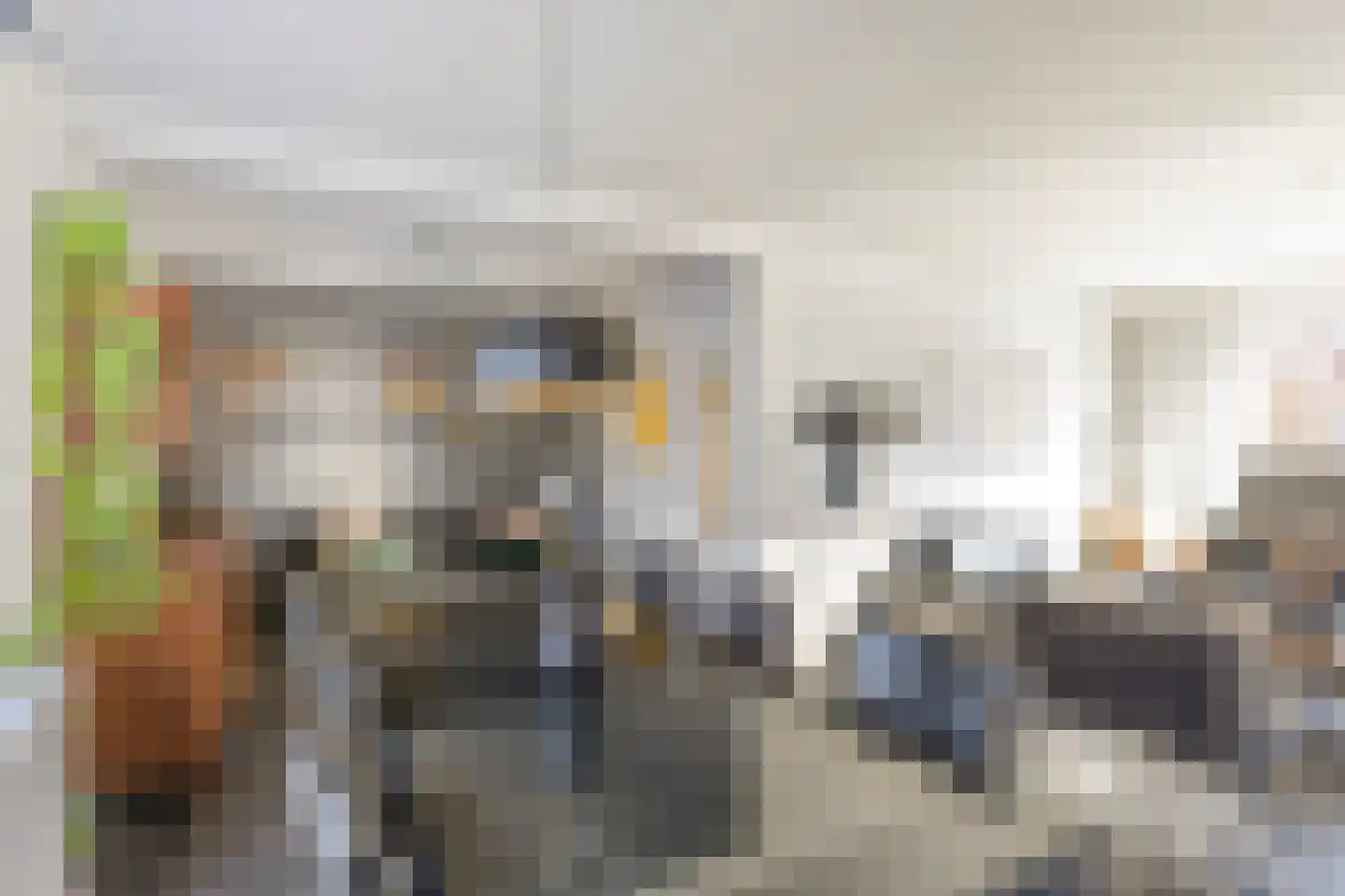 Bosstraat 12 Susteren thumbnail 7
