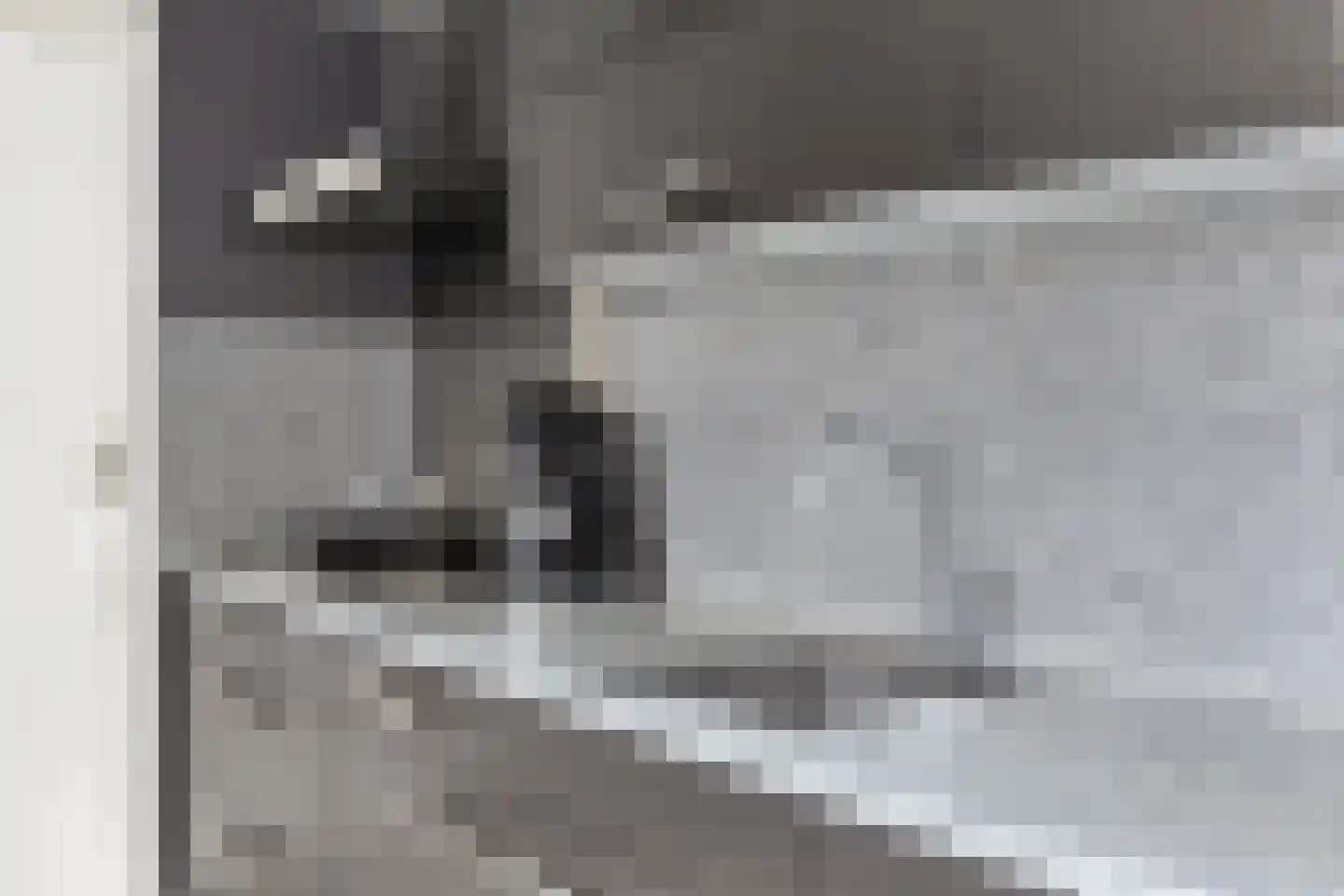Bosstraat 12 Susteren thumbnail 8