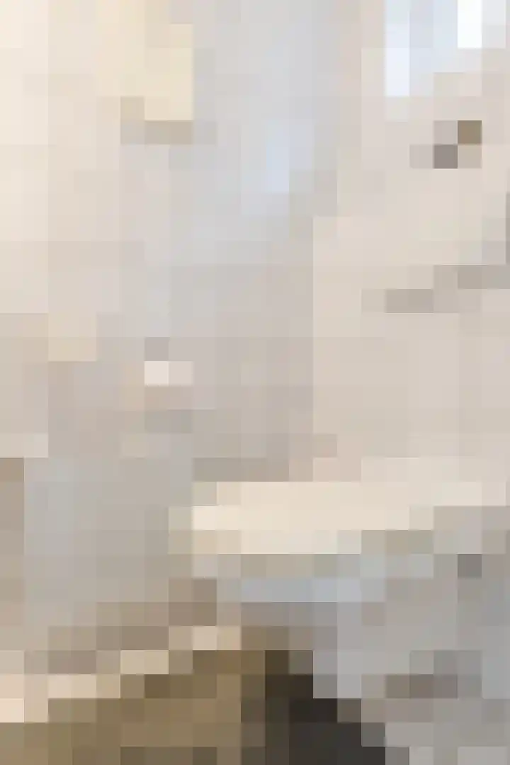 Bosstraat 13 Susteren thumbnail 12
