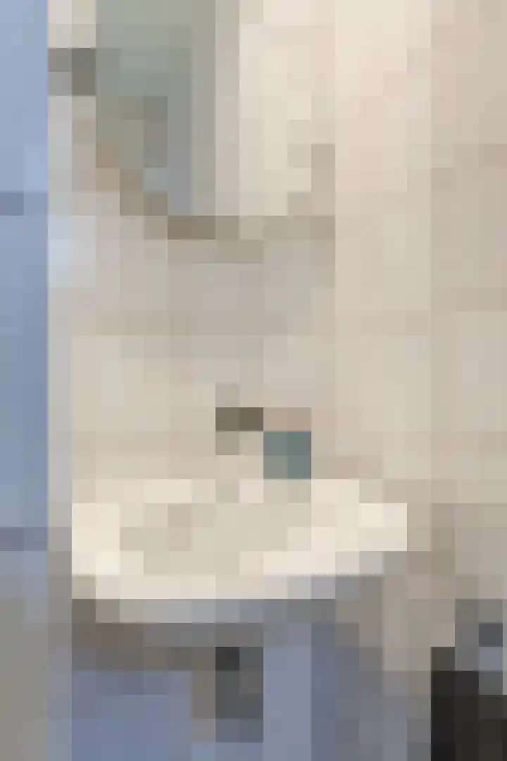 Bosstraat 13 Susteren thumbnail 13
