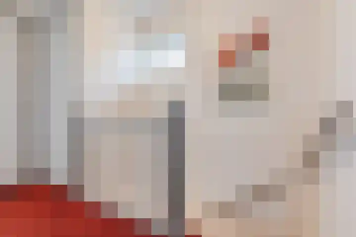 Bosstraat 13 Susteren thumbnail 22