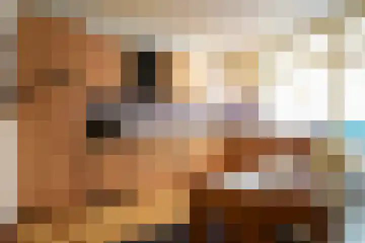 Bosstraat 14 Kerkrade thumbnail 8