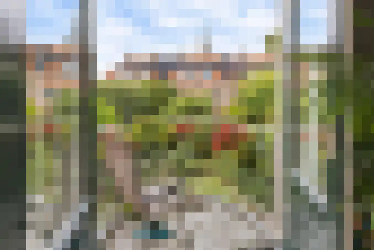 Bosstraat 16 Baarn thumbnail 4