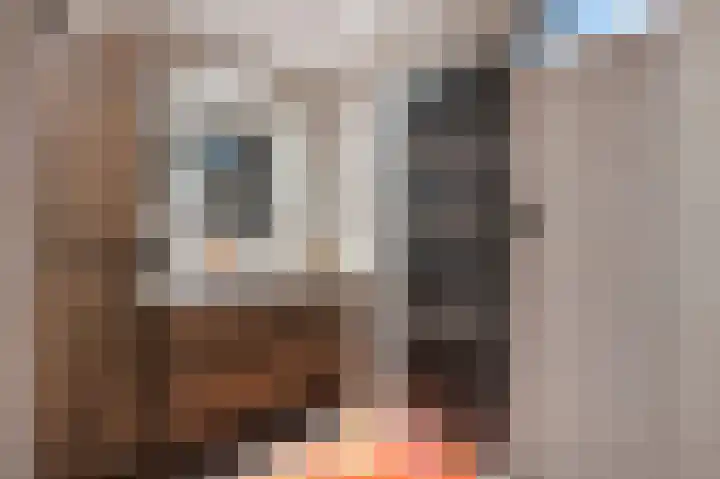 Bosstraat 17 B Echt thumbnail 19