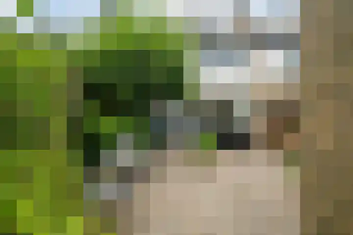 Bosstraat 17 B Echt thumbnail 7