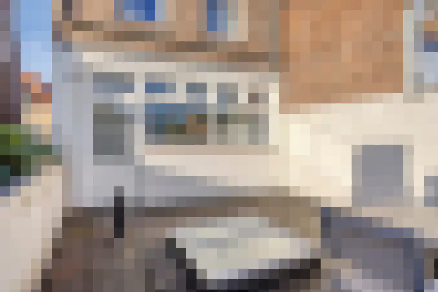 Bosstraat 17 Bergen op Zoom thumbnail 6