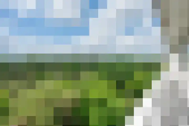 Bosstraat 17 D Echt thumbnail 11
