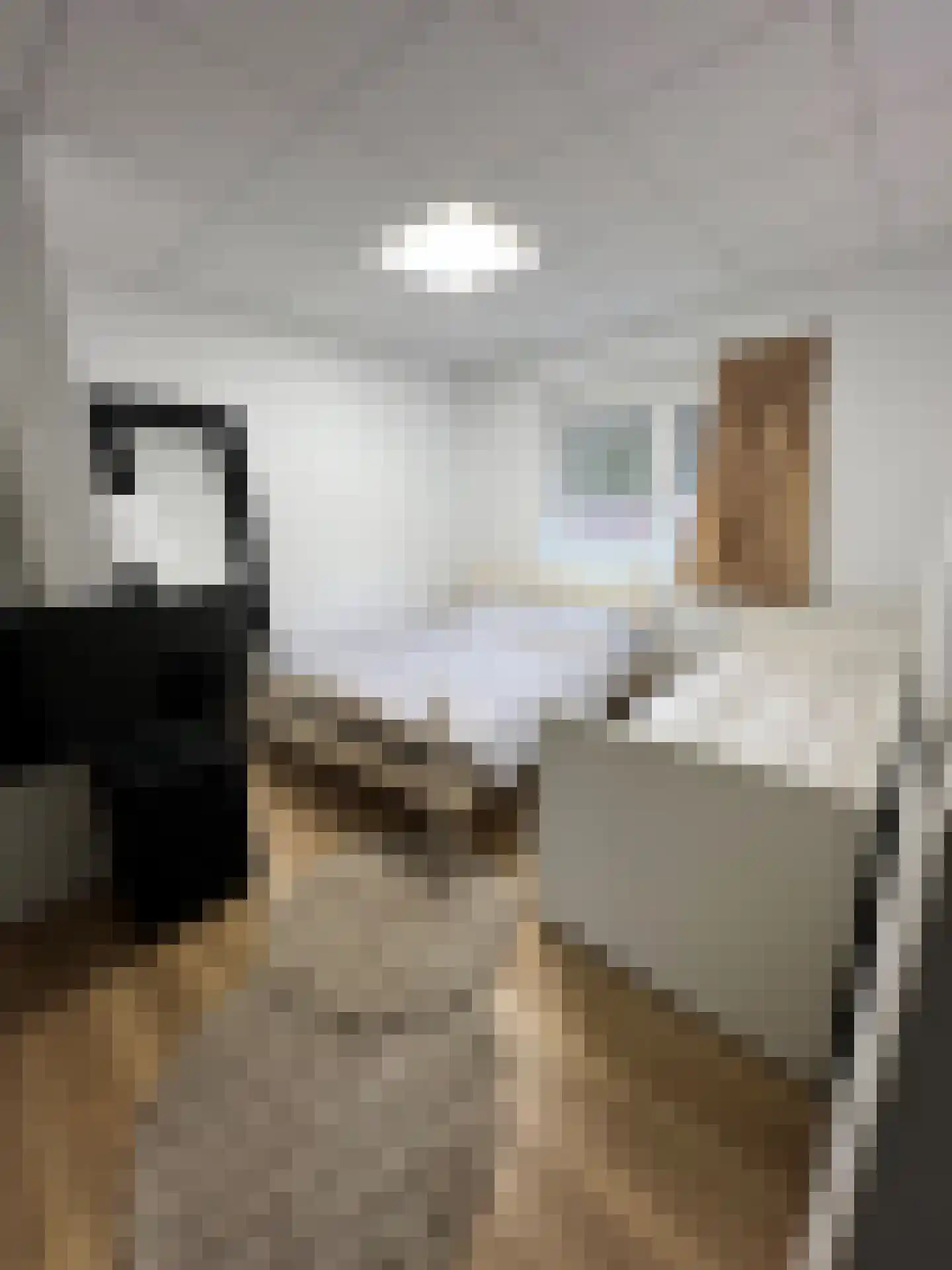 Bosstraat 17 D Echt thumbnail 12