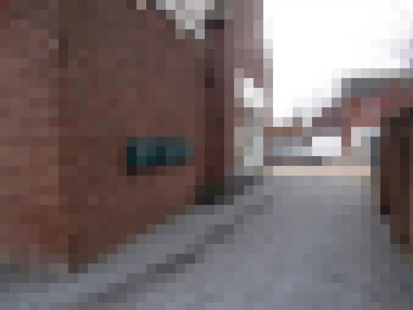 Bosstraat 17 D Echt thumbnail 13