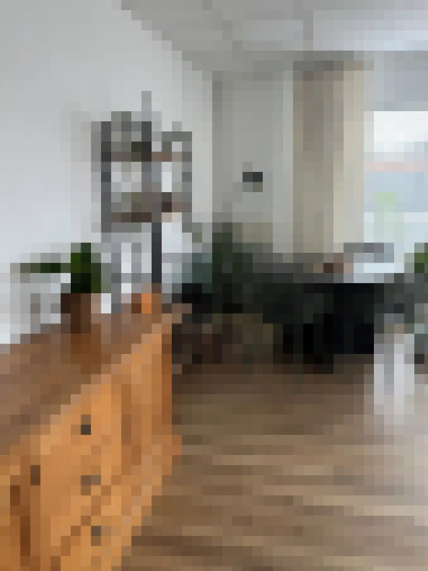 Bosstraat 17 D Echt thumbnail 6