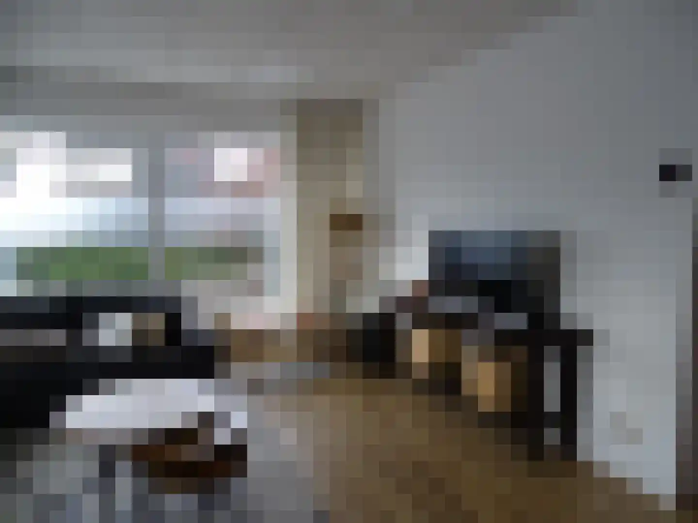 Bosstraat 17 D Echt thumbnail 7