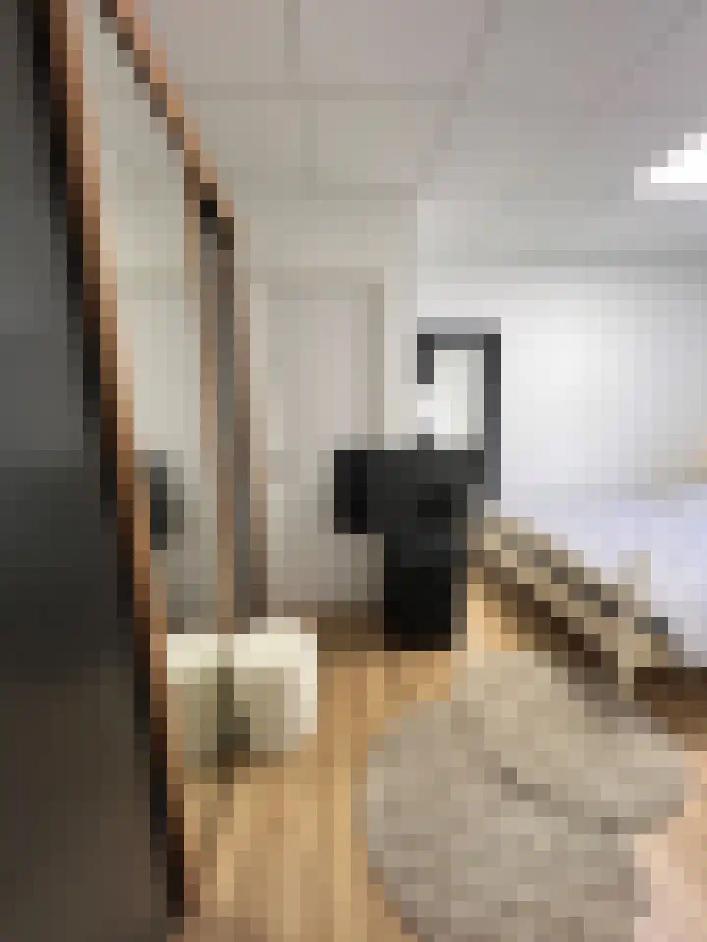 Bosstraat 17 D Echt thumbnail 9