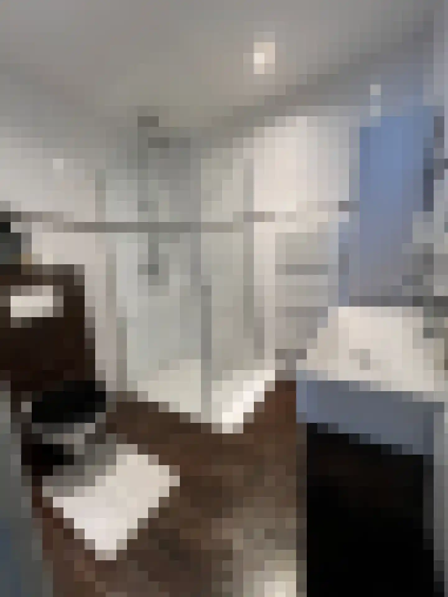 Bosstraat 17 D Echt thumbnail 9