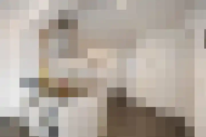 Bosstraat 17 Echt thumbnail 11