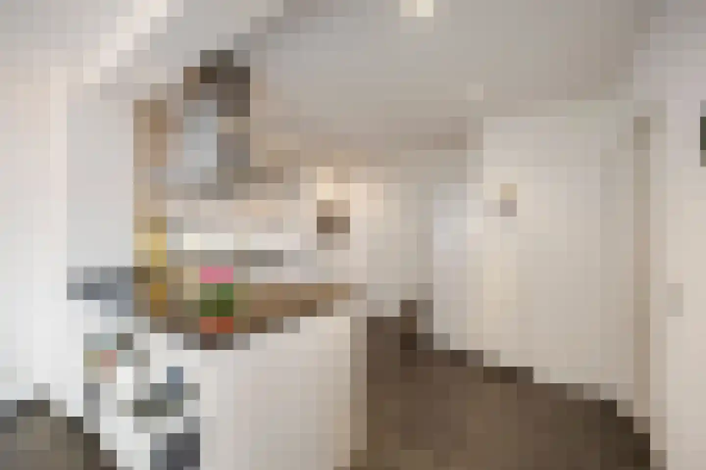 Bosstraat 17 Echt thumbnail 11