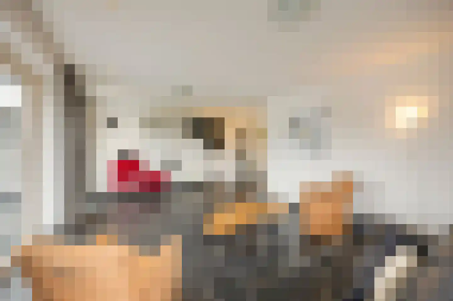 Bosstraat 17 Echt thumbnail 22