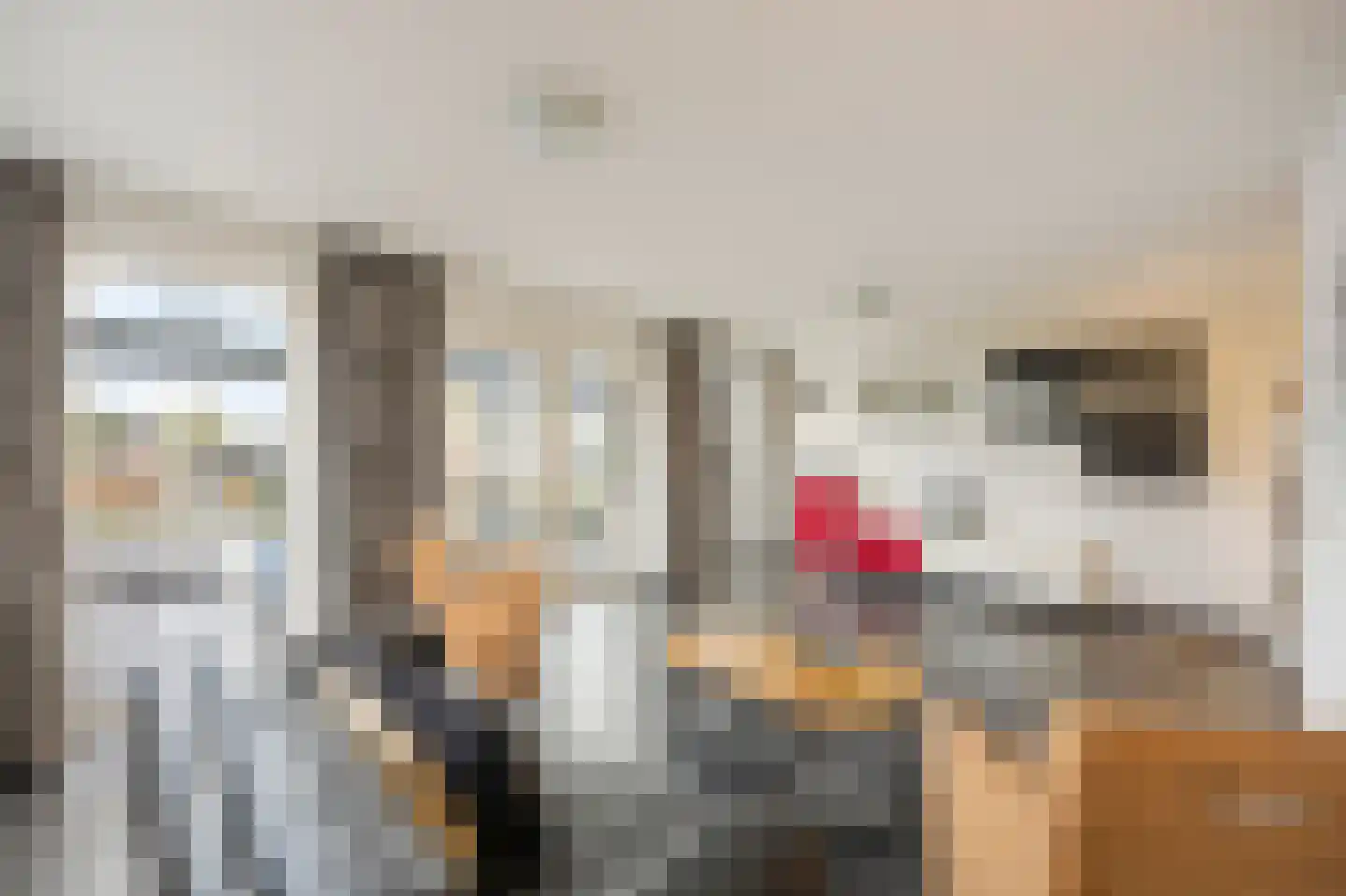 Bosstraat 17 Echt thumbnail 24
